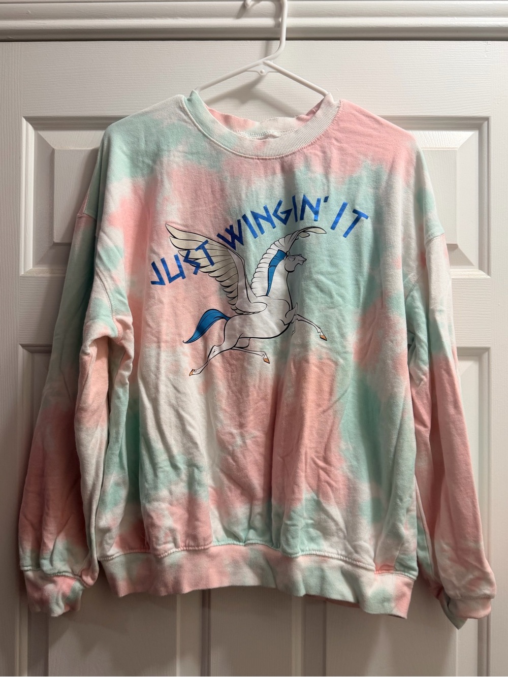 Disney Pastel Mint & Pink Tie-Dye Pegasus Sweatshirt from Disneyland